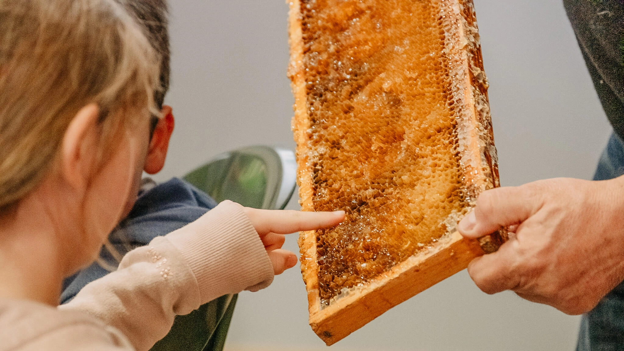 Un ronzio speciale: i bambini alla scoperta del mondo delle api